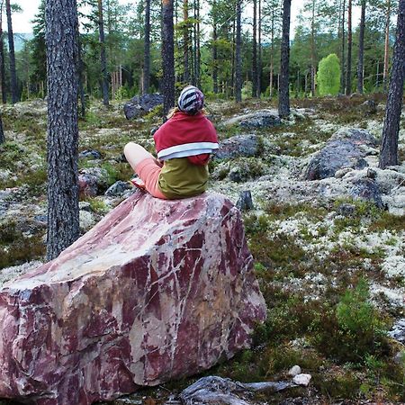 Ljørdal 16 - Fulufjellets Nasjonalparker - Natur-, Dyre- Og Fugleopplevelser מראה חיצוני תמונה