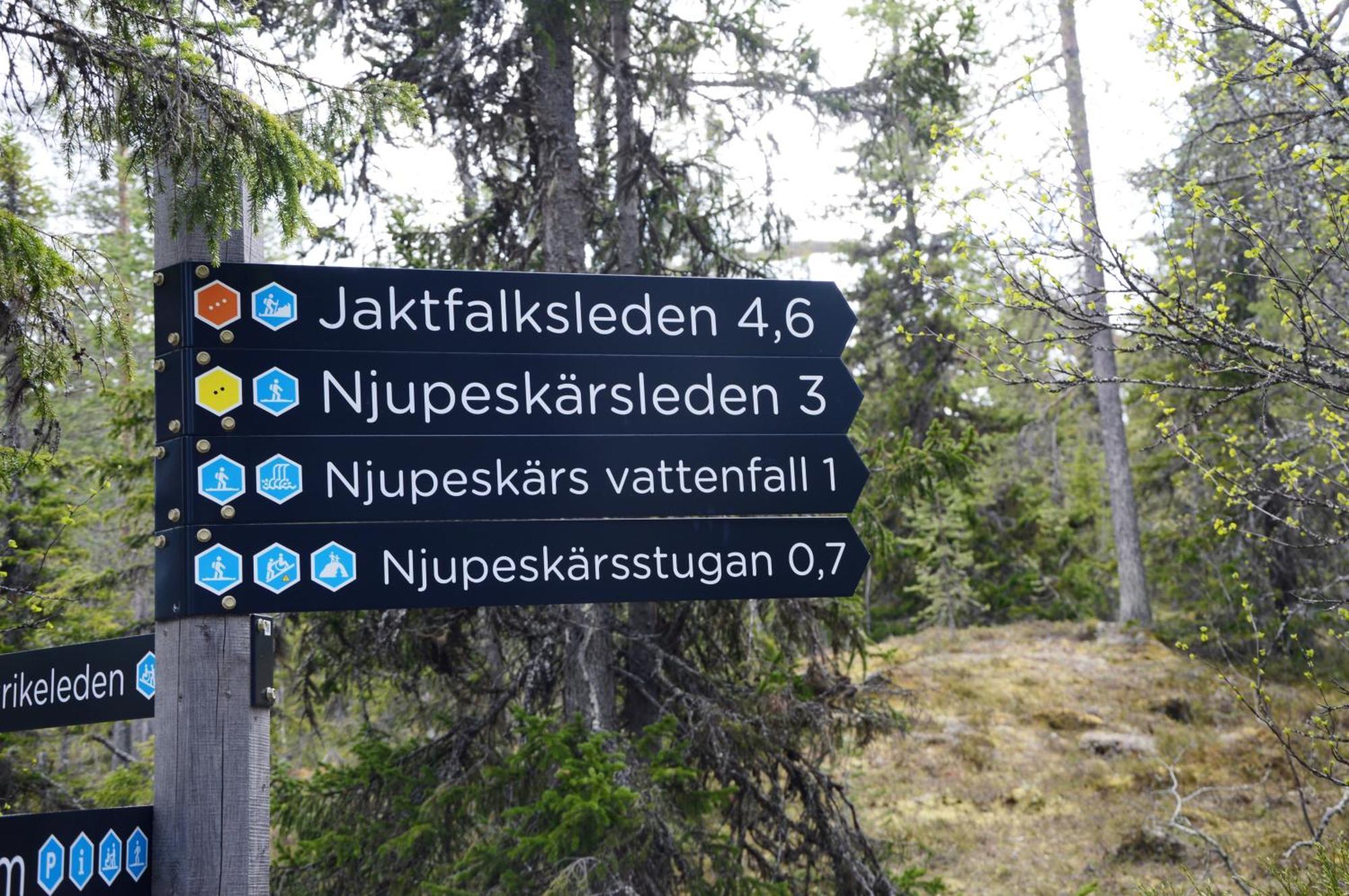 Ljørdal 16 - Fulufjellets Nasjonalparker - Natur-, Dyre- Og Fugleopplevelser מראה חיצוני תמונה