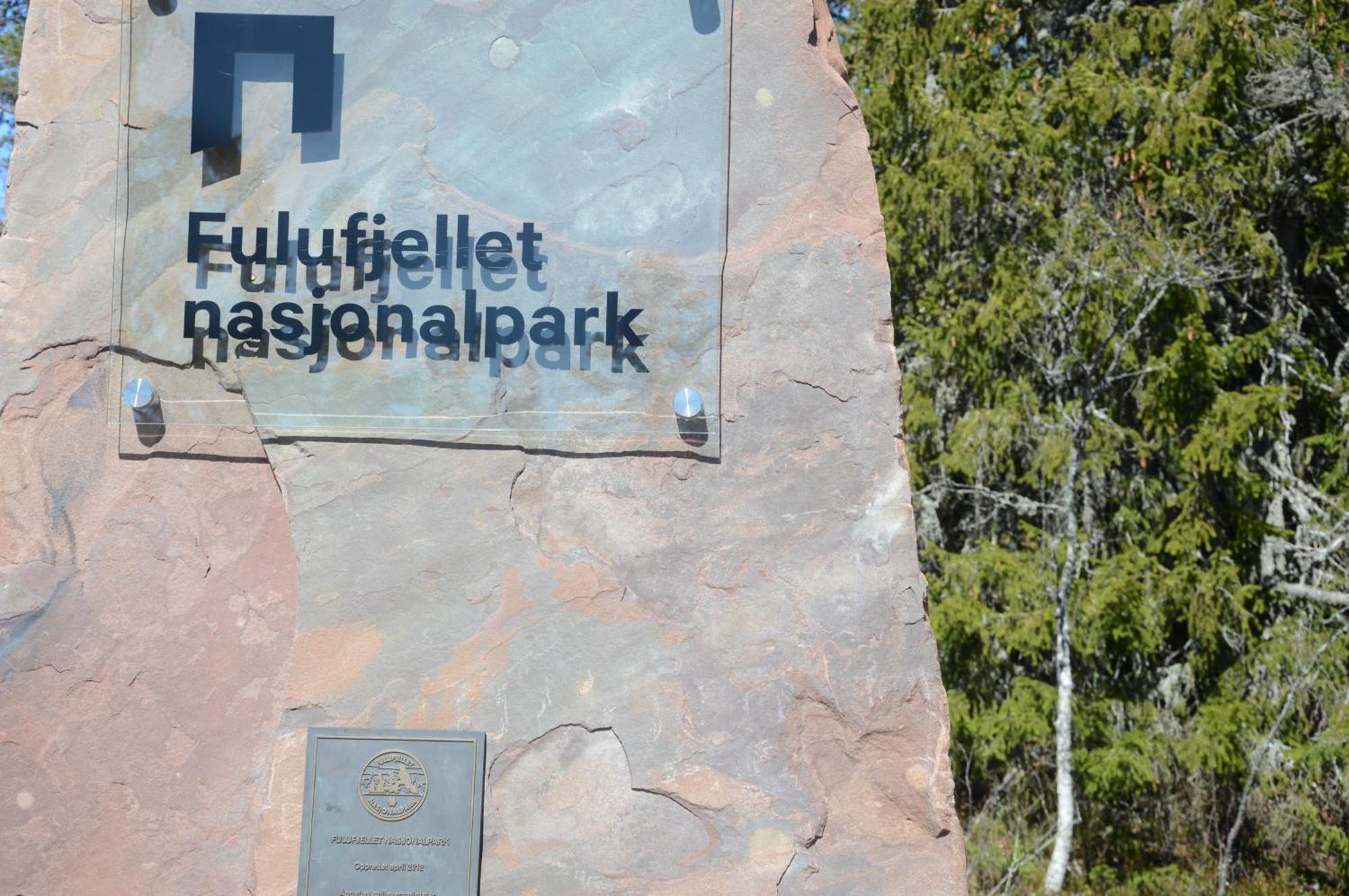 Ljørdal 16 - Fulufjellets Nasjonalparker - Natur-, Dyre- Og Fugleopplevelser מראה חיצוני תמונה