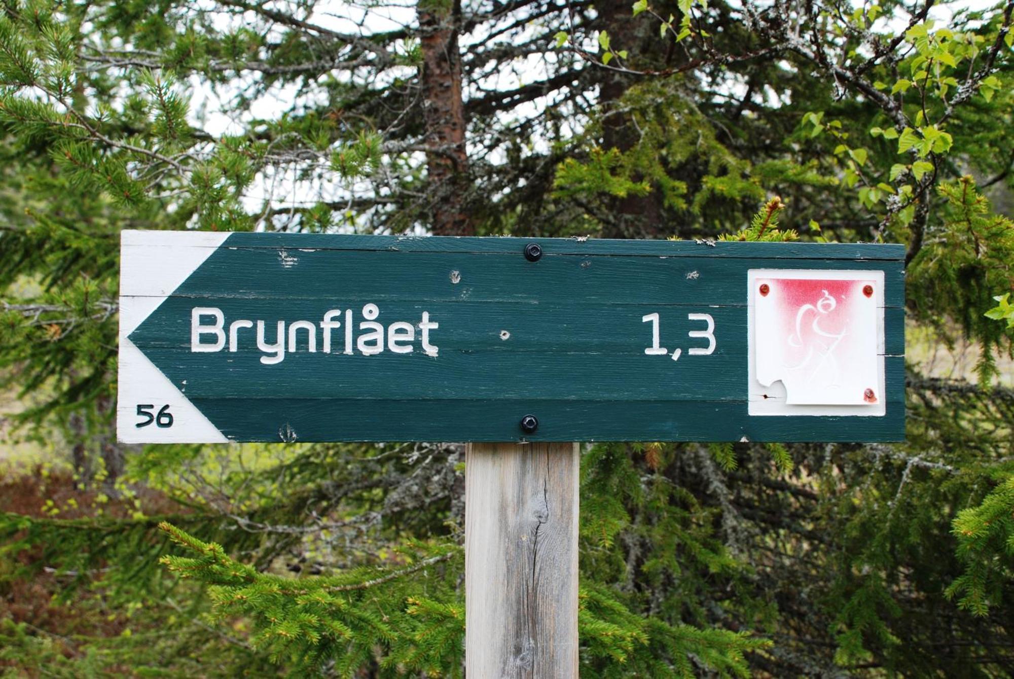 Ljørdal 16 - Fulufjellets Nasjonalparker - Natur-, Dyre- Og Fugleopplevelser מראה חיצוני תמונה