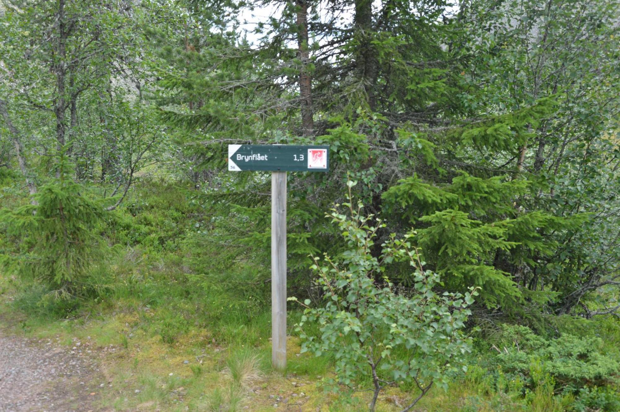 Ljørdal 16 - Fulufjellets Nasjonalparker - Natur-, Dyre- Og Fugleopplevelser מראה חיצוני תמונה